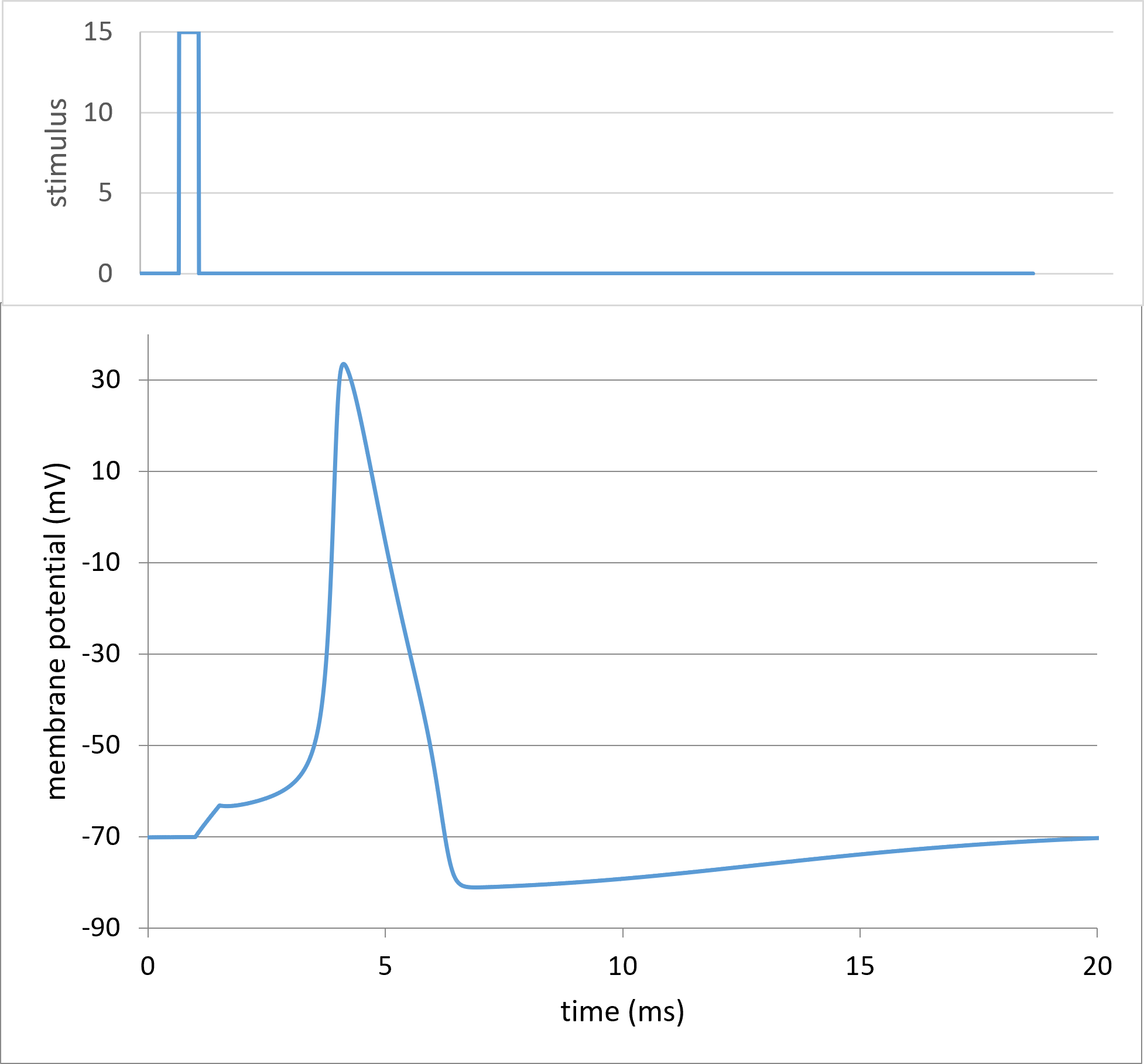 a spike generated by the HH model