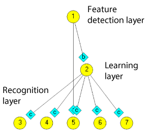 Learning circuit fragment