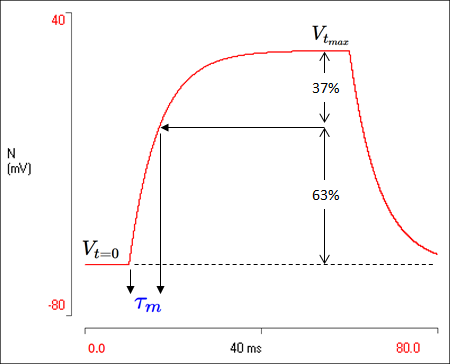 Measuring the Time Constant
