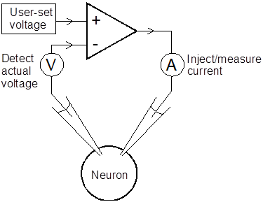 Simplified voltage clamp